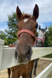 (59)名前未定 大阪